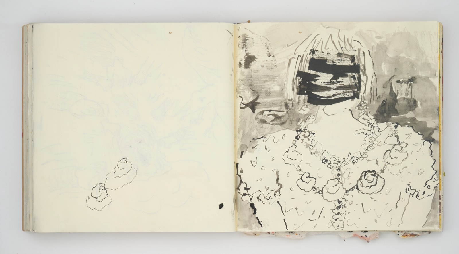 Sabine Monirys, The sketchbooks
