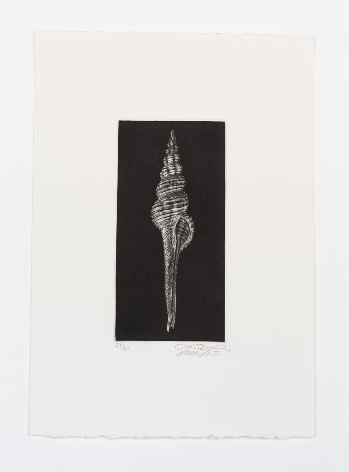 Trevor Foster, Anticlockwise, 2018