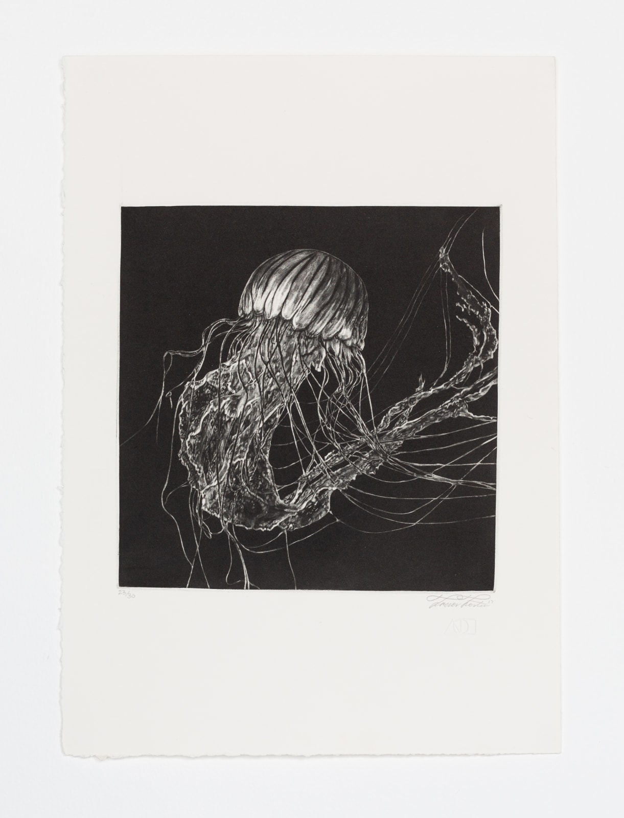 Trevor Foster, Ghost II, 2017