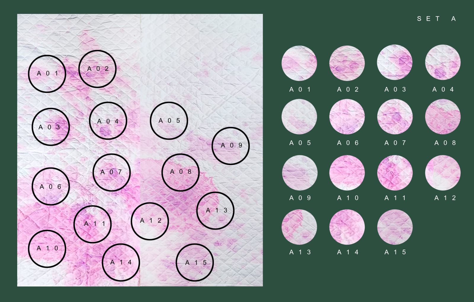 Sasapin Siriwanij, A bloody business (set A) no.14, 2022