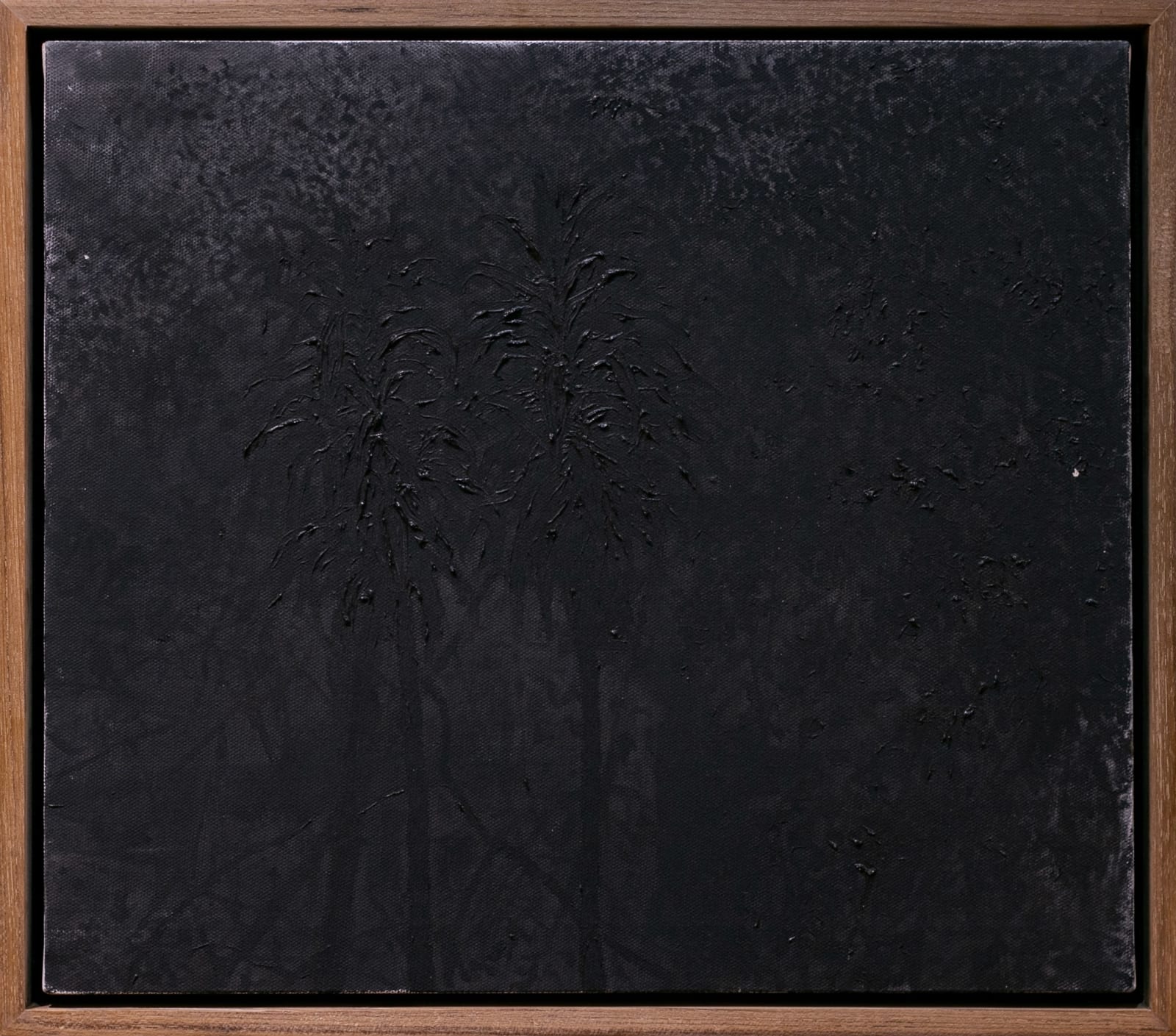 Noppanan Thannaree, Night Garden, 2018