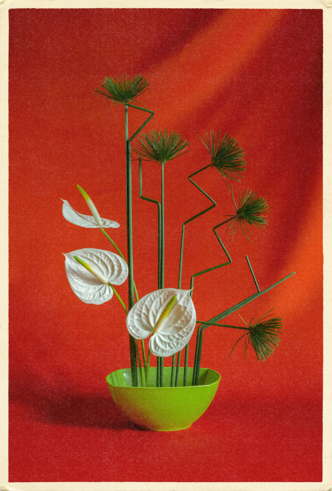 Naraphat Sakarthornsap, Pussy, 2022