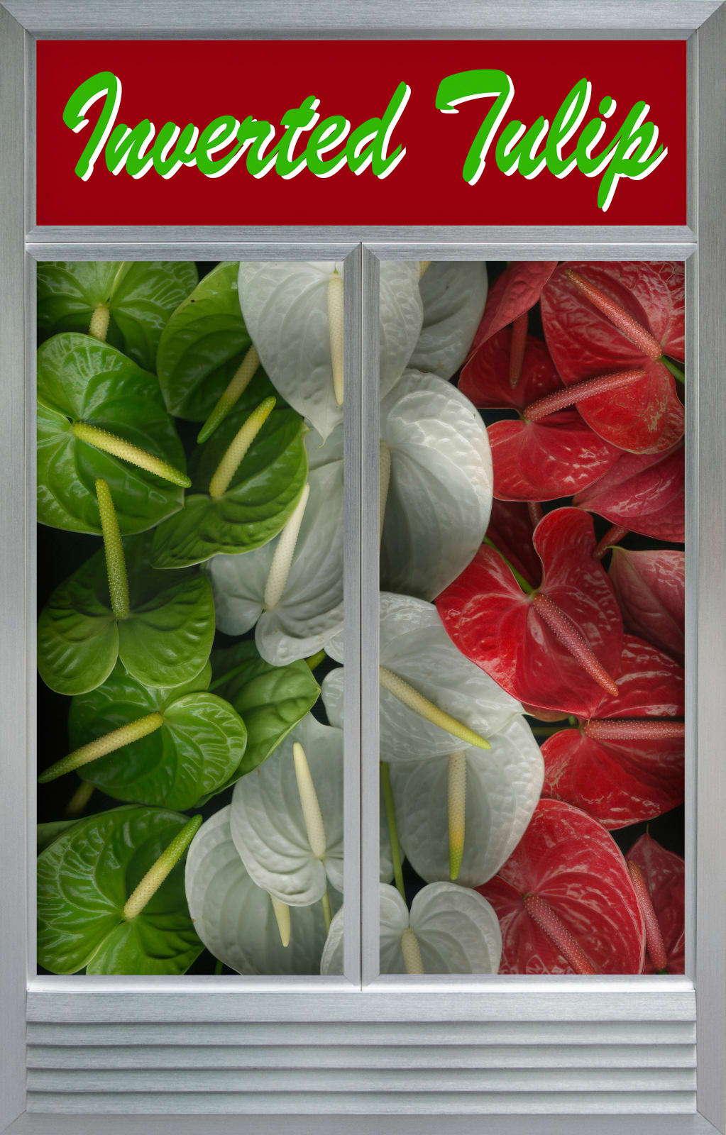 Naraphat Sakarthornsap, Inverted Tulip, 2022