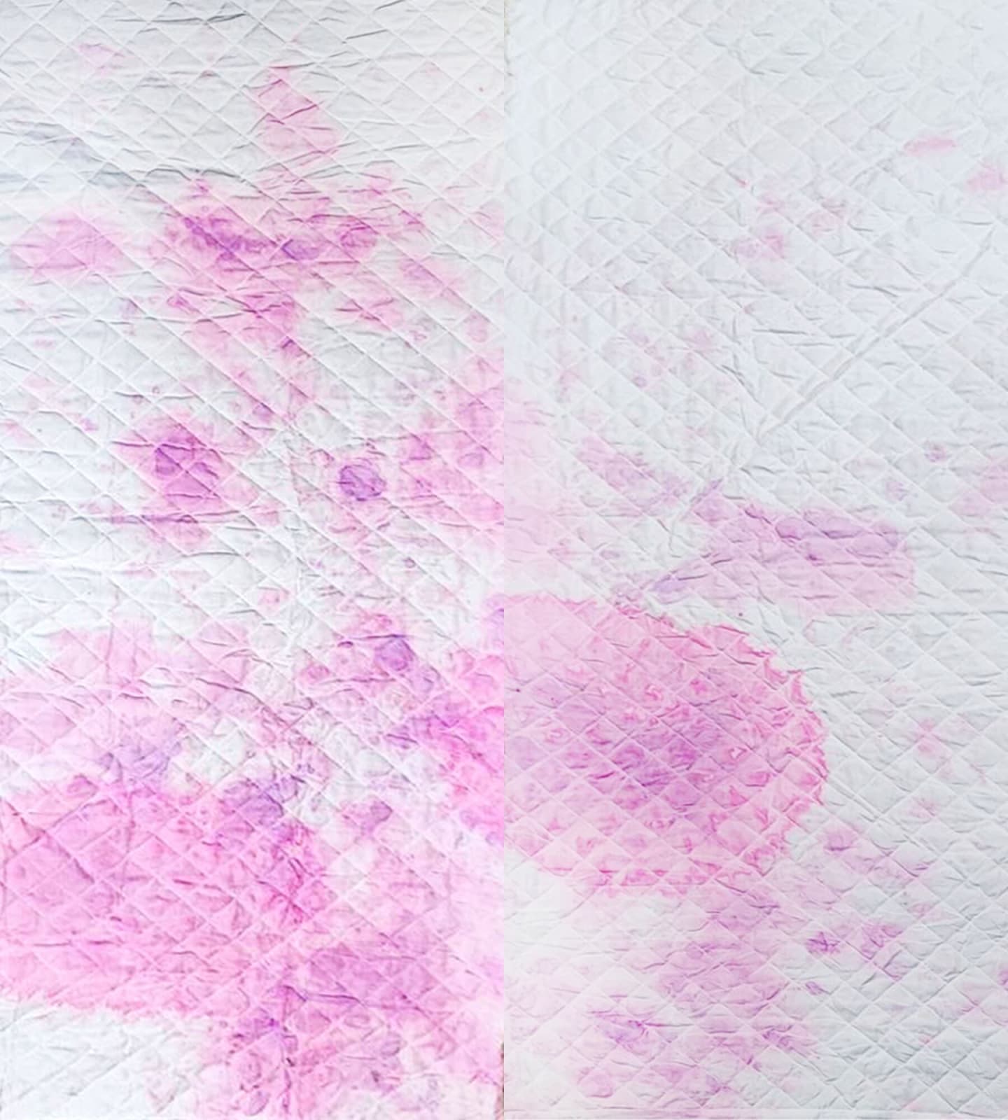 Sasapin Siriwanij, A bloody business (set A) no.12, 2022