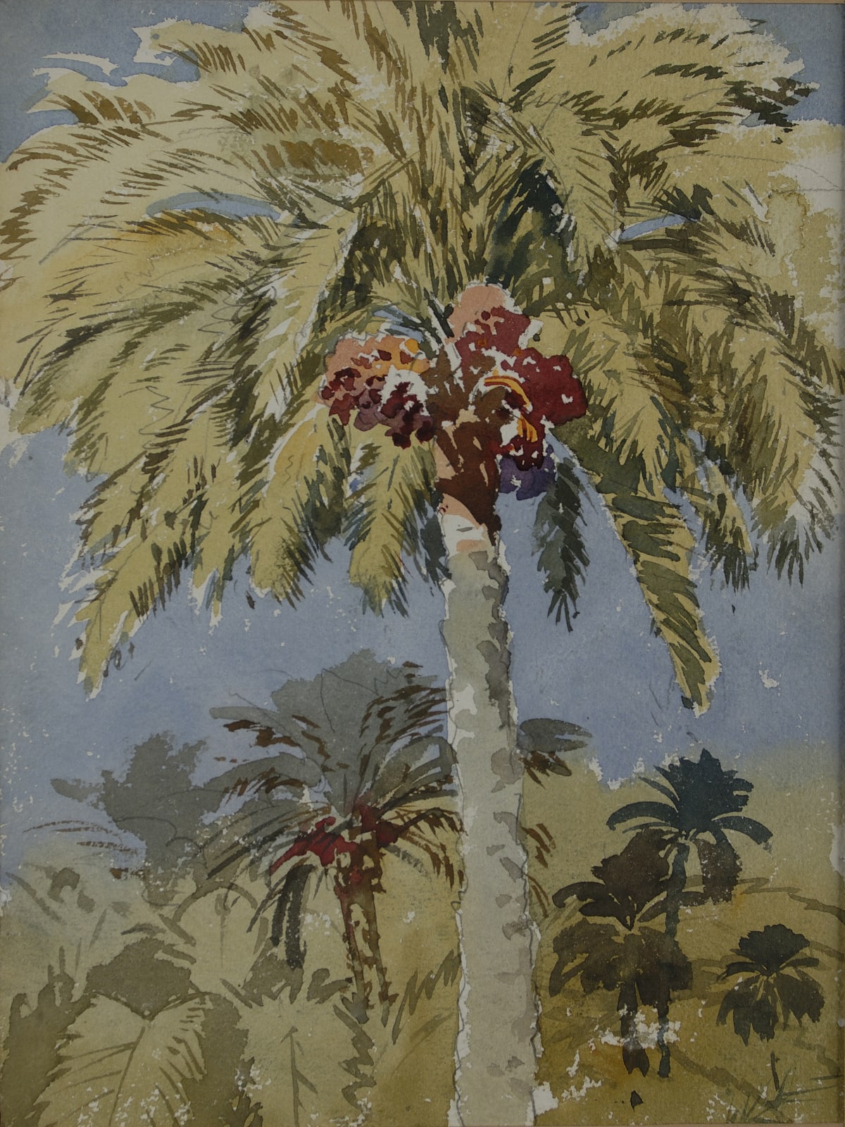 Hidayet Chiraz, Date Palms
