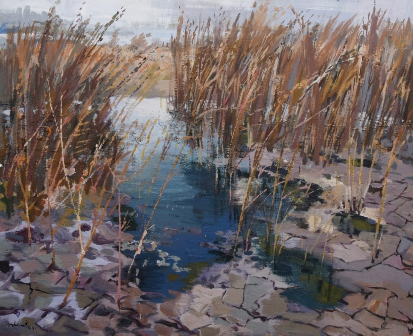 Mohamed Abla, Fayoum Lake I, 2010