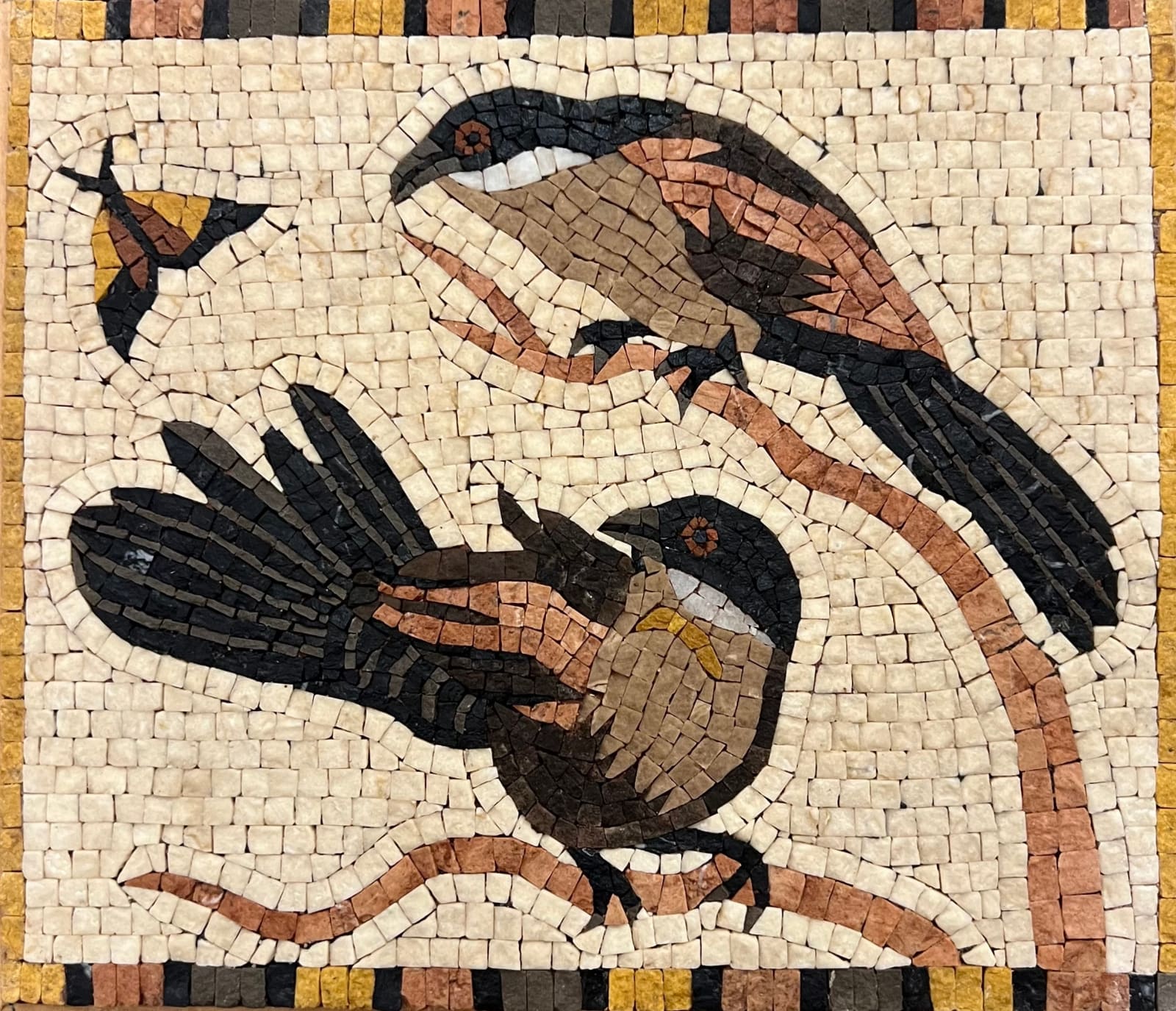 Mosaics of Dahshur, Senegalese Coucals, 2024