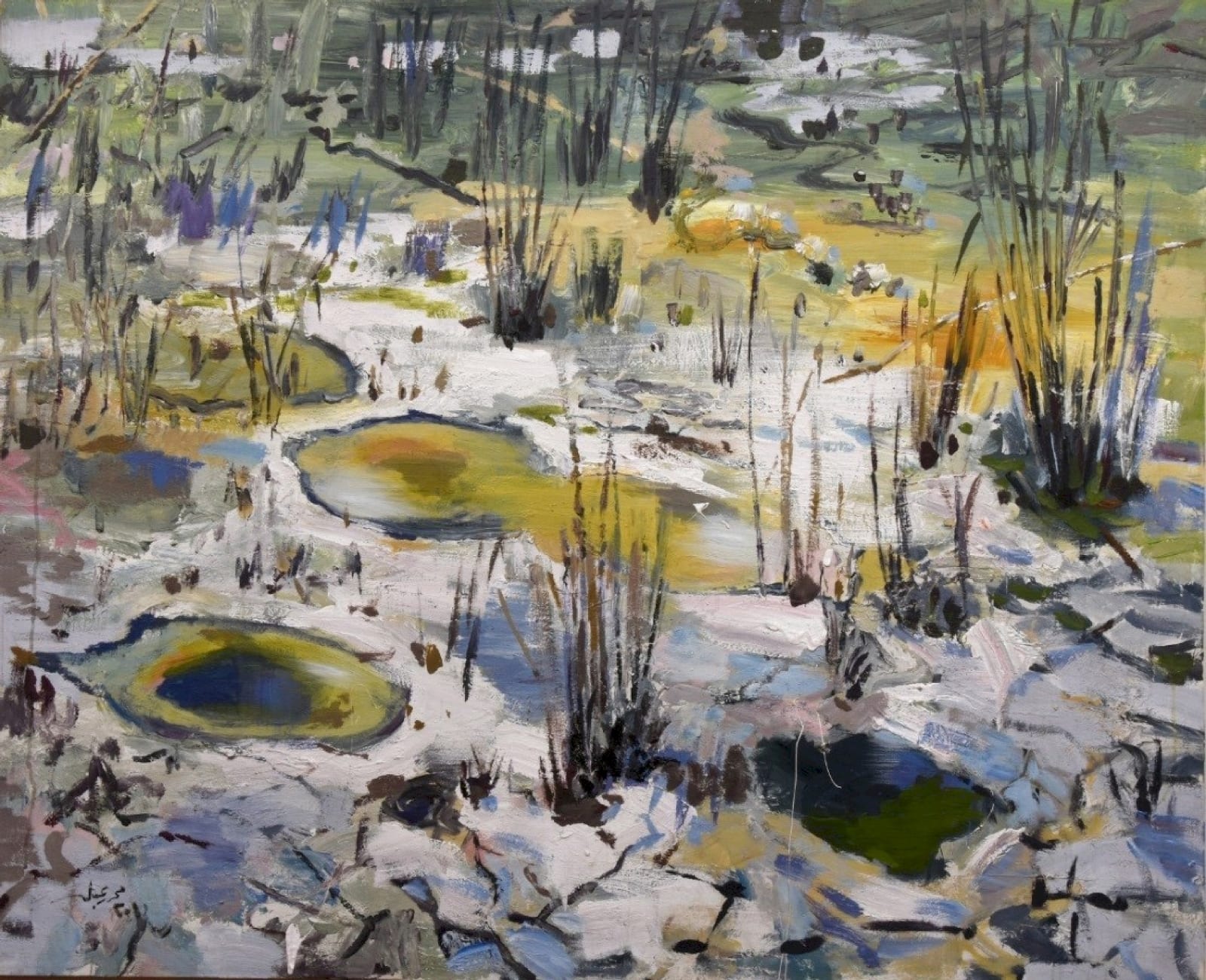 Mohamed Abla, Salt Lake, 2010