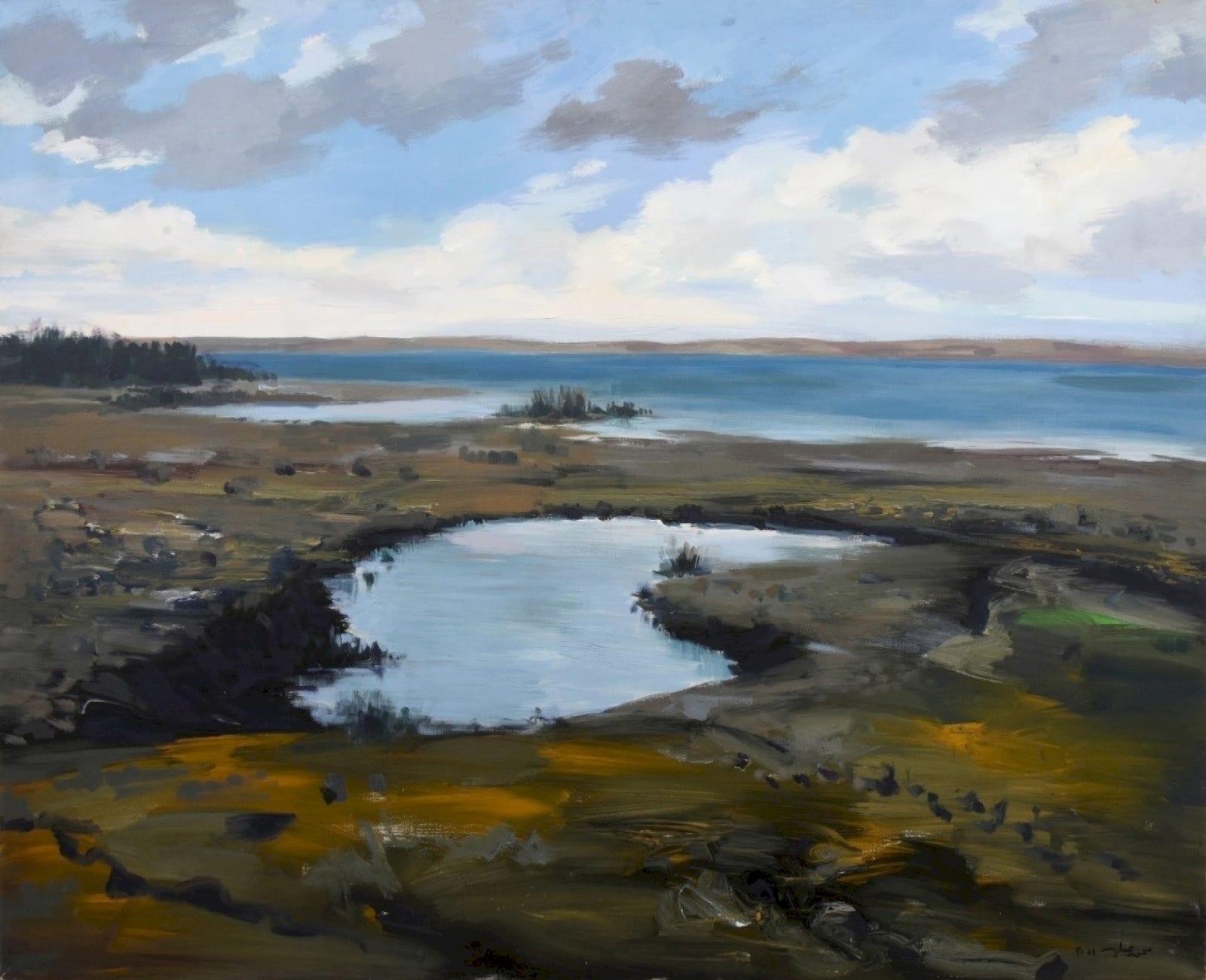 Mohamed Abla, Fayoum Lake II, 2011