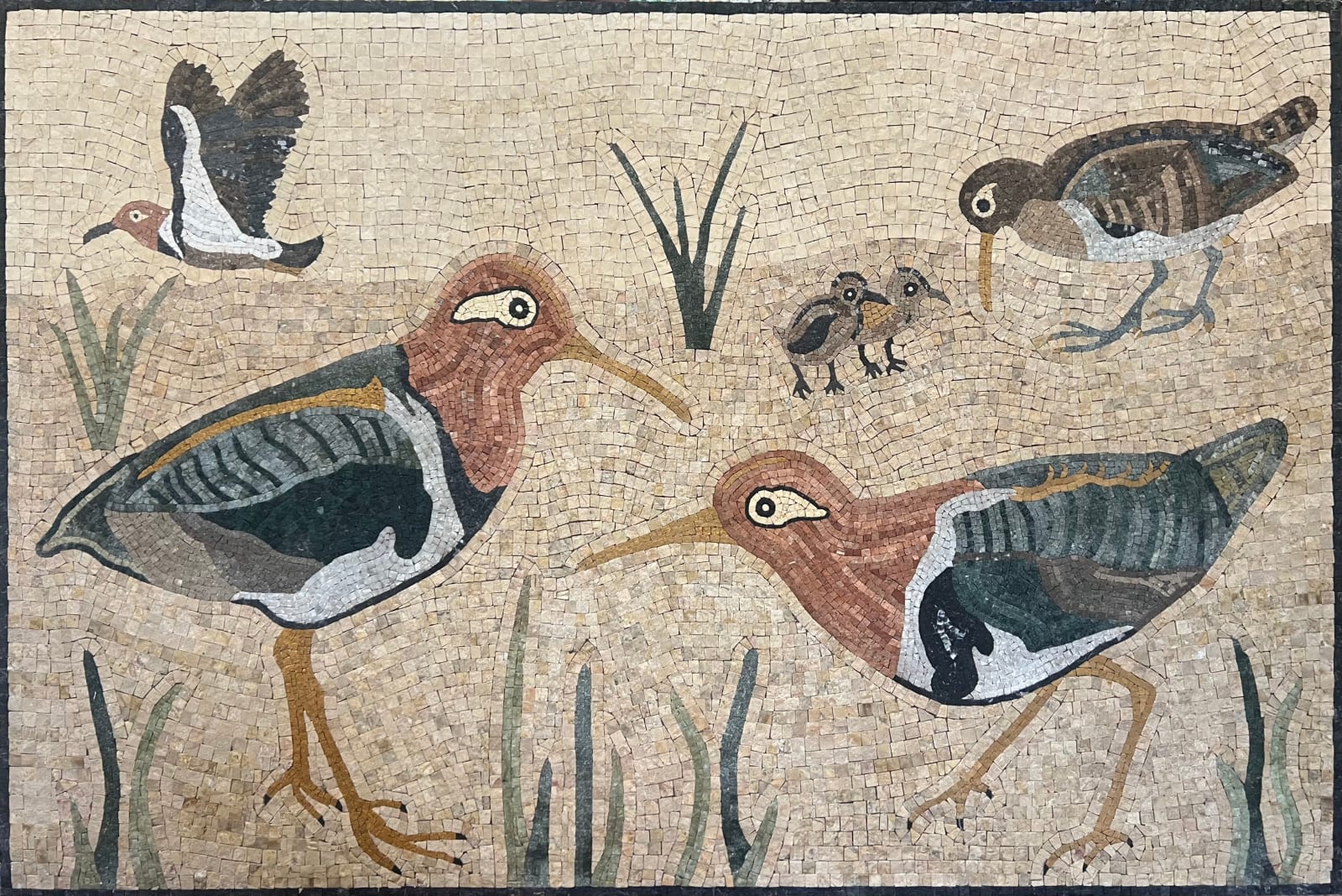 Mosaics of Dahshur, Greater Painted Snipes, 2024