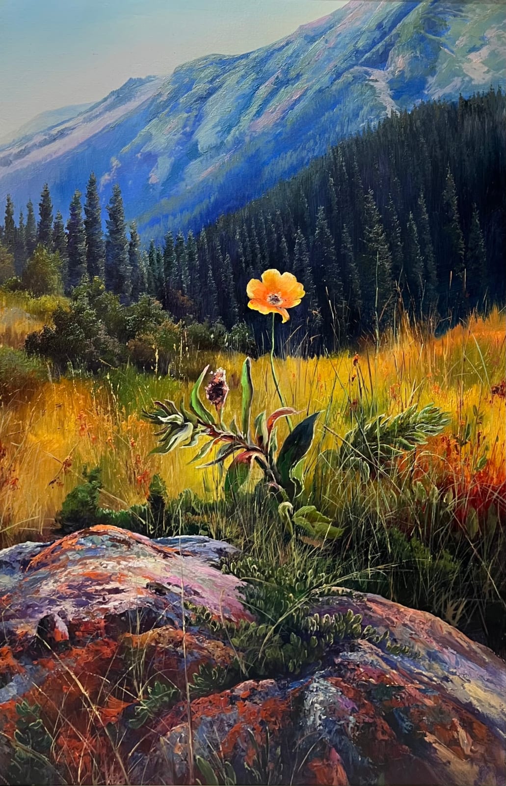 Wildflower’s Solitude