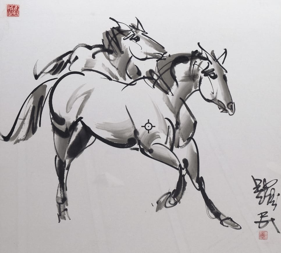 Horse study
