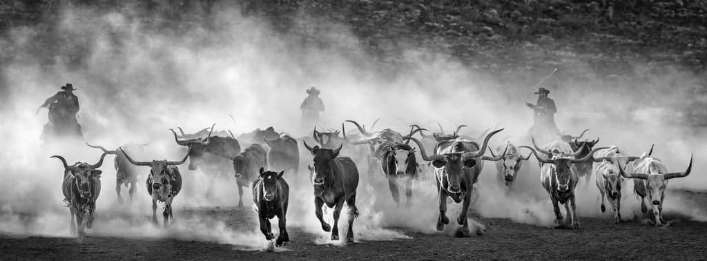 David Yarrow, Lonesome Dove, West Texas, 2024