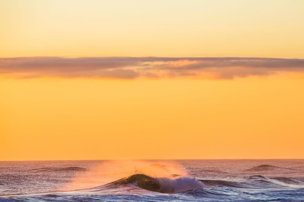 Jonathan Nimerfroh, Cisco Dreamin', 2016