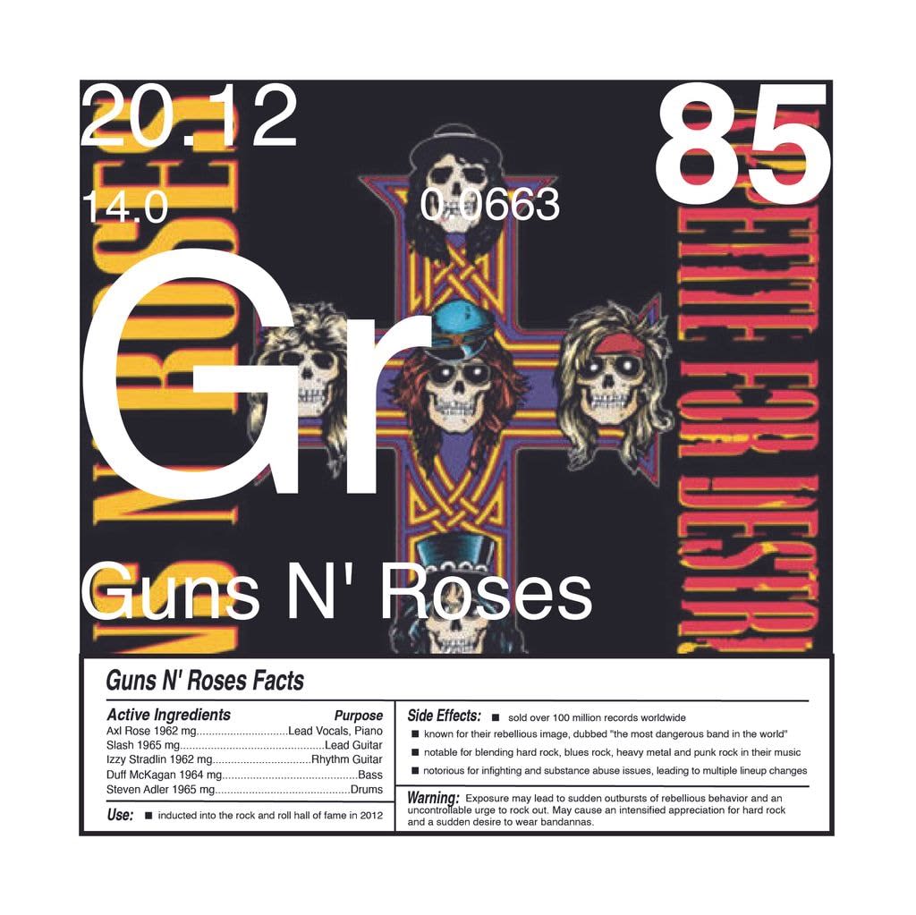 Daniel Allen Cohen, Guns N' Roses (Gr-85), 2023