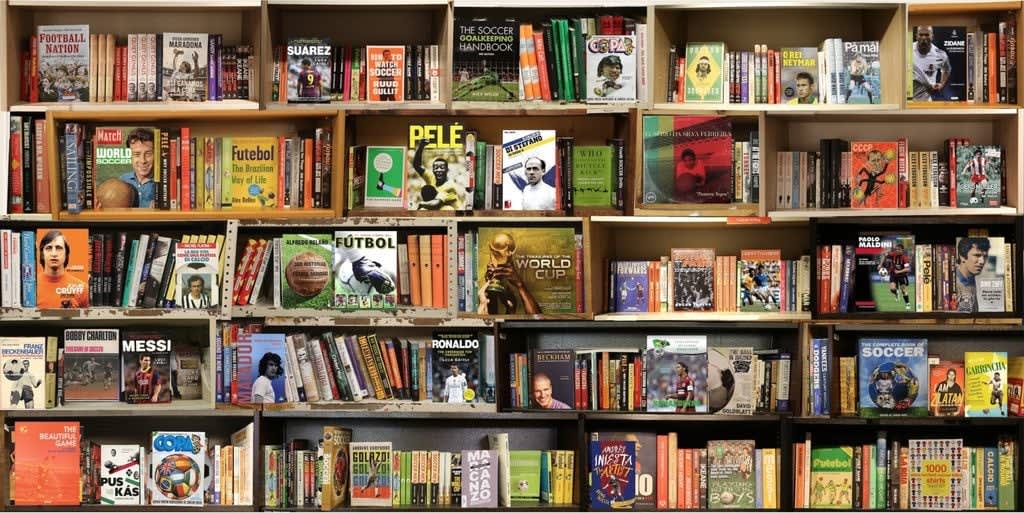 Max Steven Grossman, Soccer, 2017