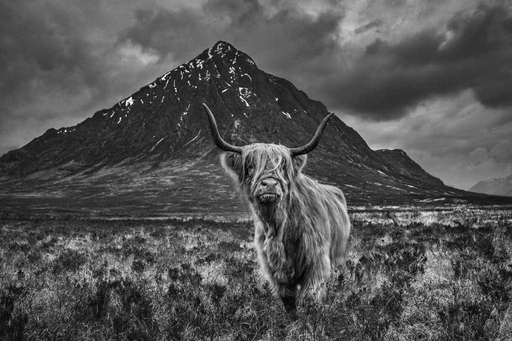 David Yarrow, Glencoe (standard), 2019