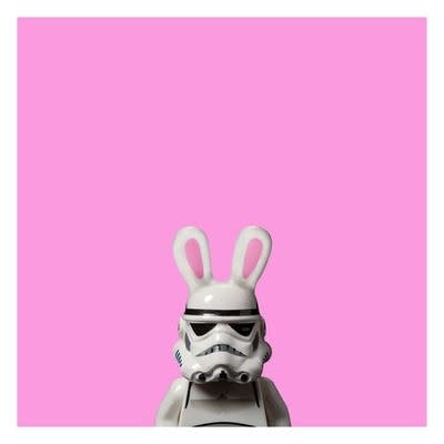 Dale May, Bunny Trooper, 2011