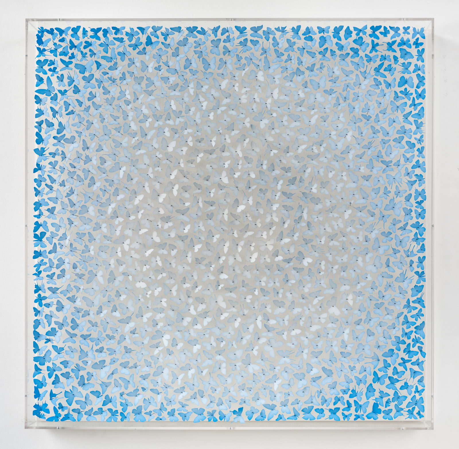 Charles Patrick, When we move as one we stay young , 2025