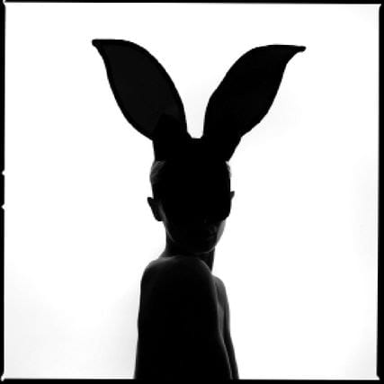 Tyler Shields, Bunny Silhouette