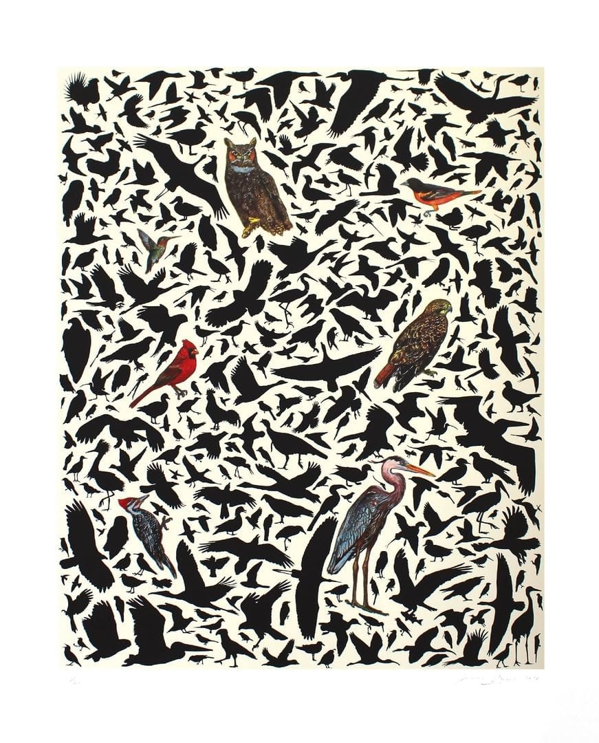 James Prosek, Avian Composition, 2018