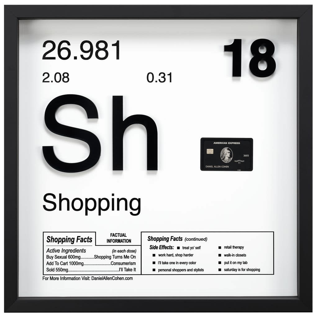 Daniel Allen Cohen, Shopping (Sh-18), 2024