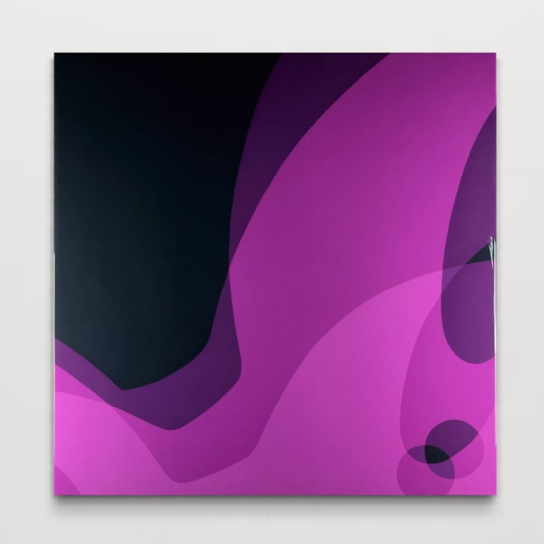 Sek2, Distorted Reality in Fuchsia, 2025