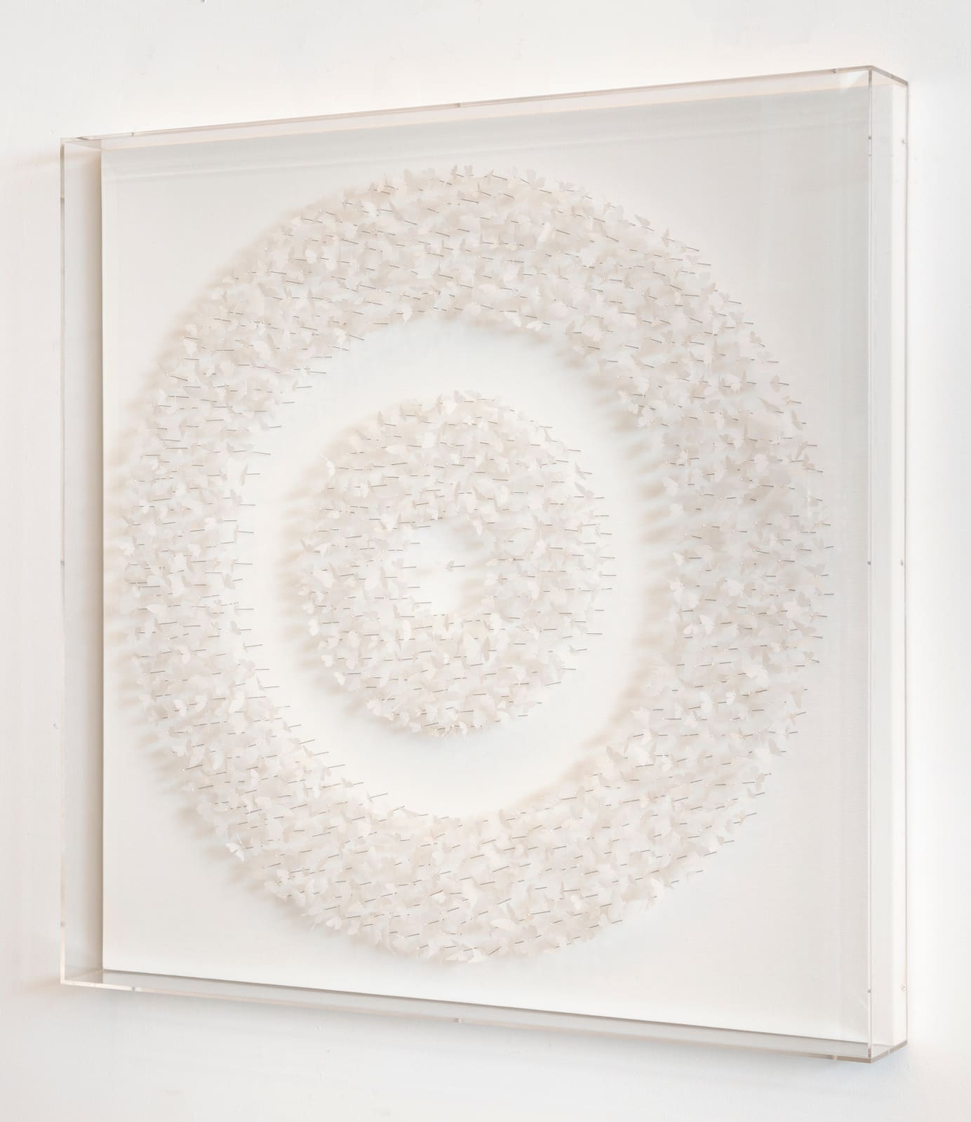 Charles Patrick, You've Been Dreaming, 2017