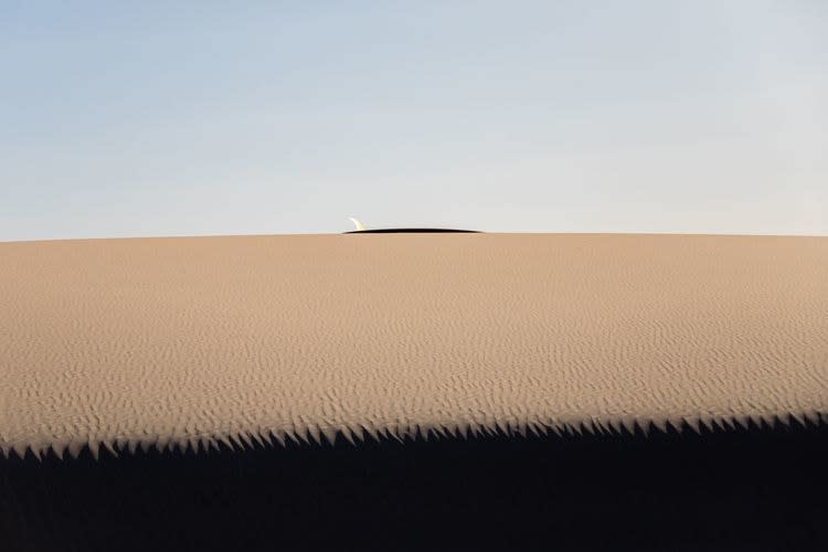 Jonathan Nimerfroh, Land Locked, 2024