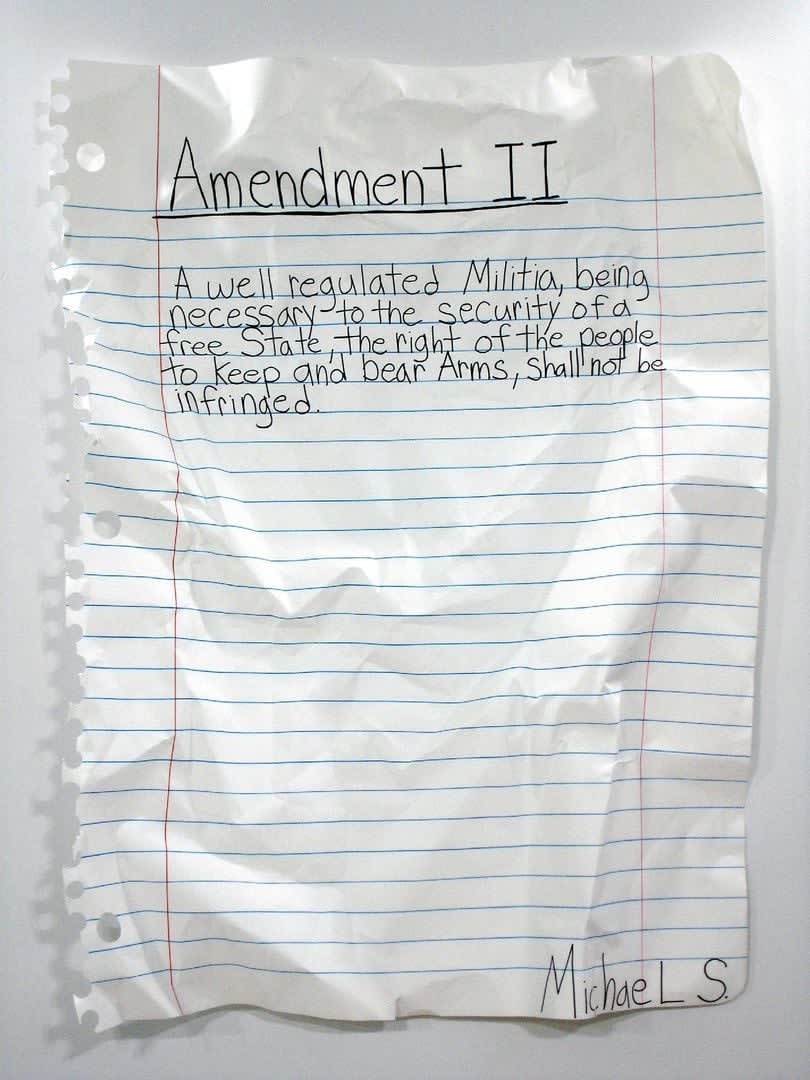 Michael Scoggins, Amendment II, 2008