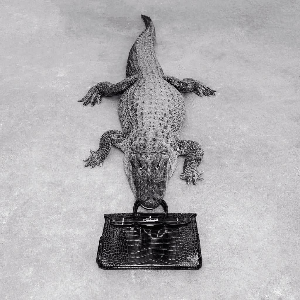 Tyler Shields, Gator Birkin Monochrome