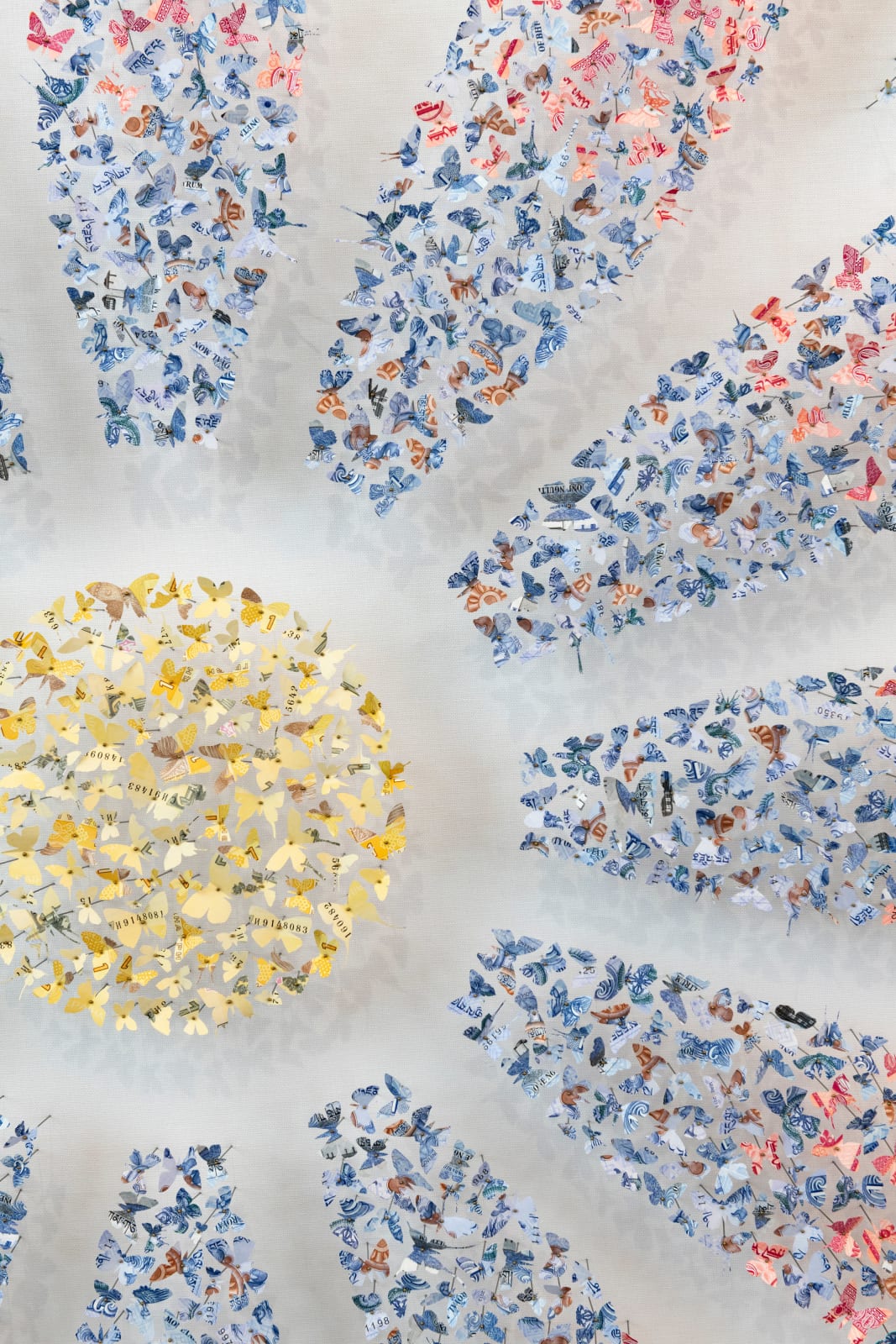 Charles Patrick, Divide at an Alarming Rate, 2018