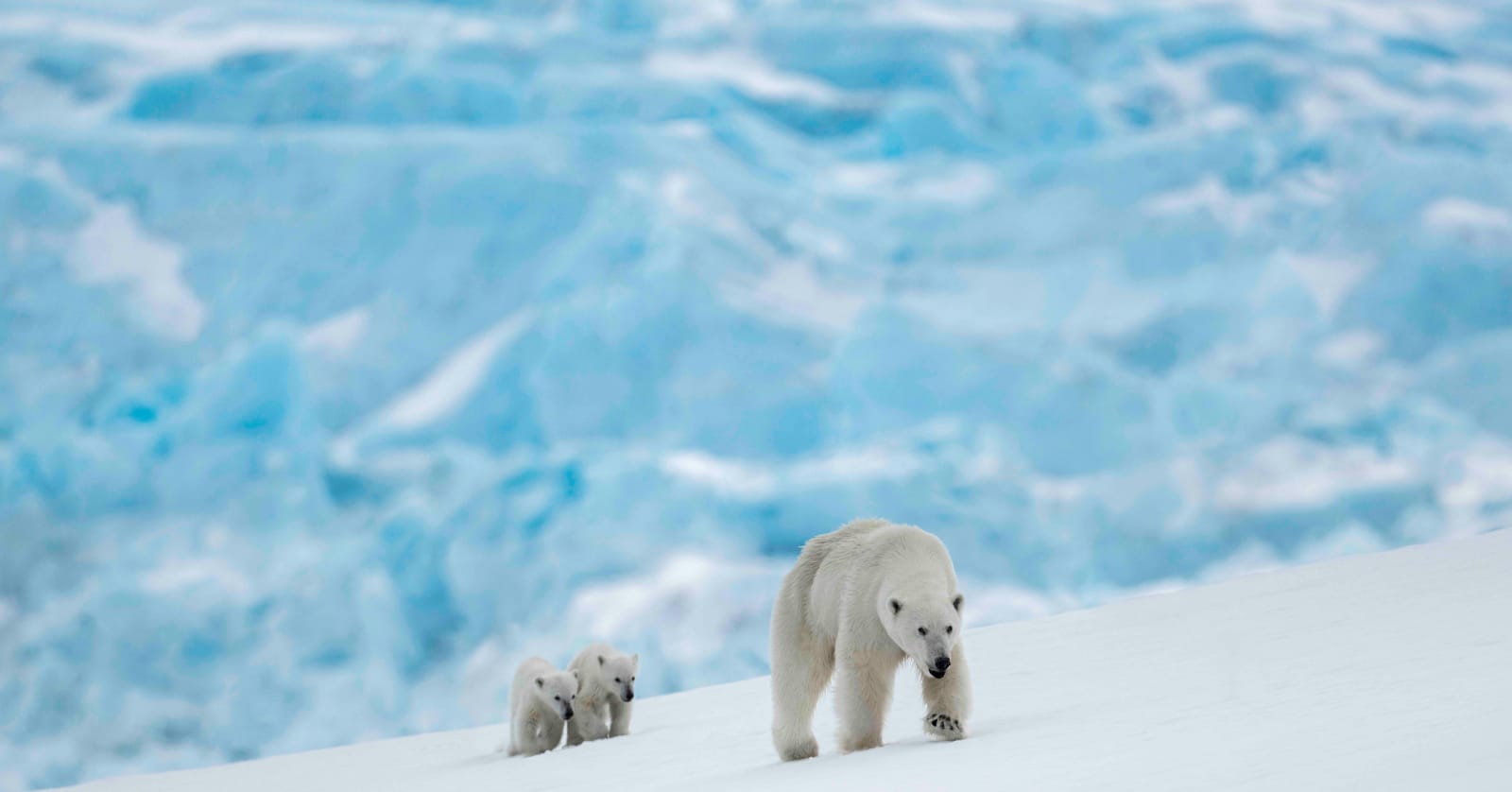 David Yarrow, The New Kids on the Block, 2022