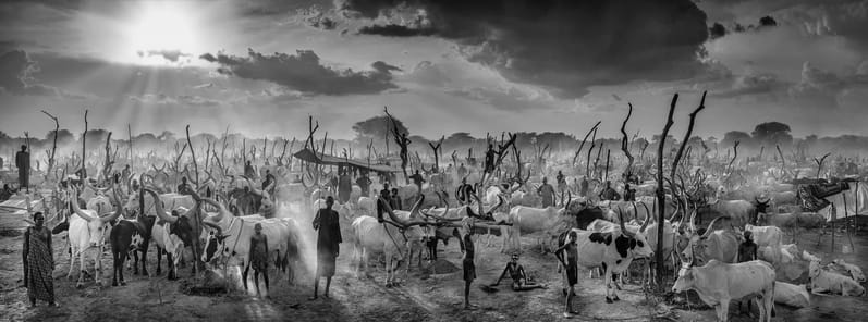 David Yarrow, The New Testament B&W, 2022