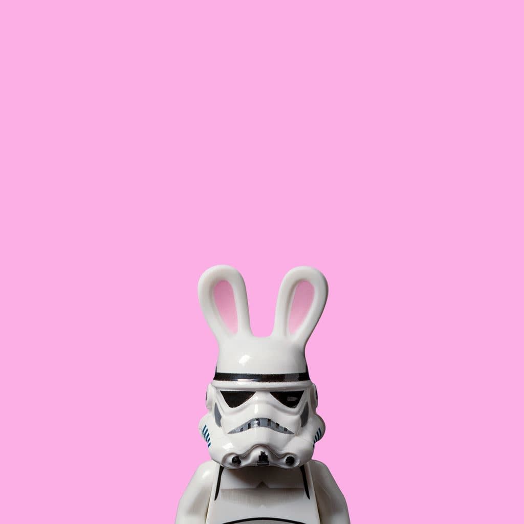 Dale May, Bunny Trooper, 2016