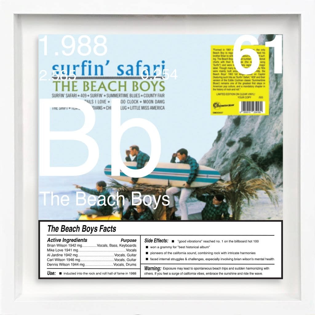 Daniel Allen Cohen, The Beach Boys (Bb-61), 2023