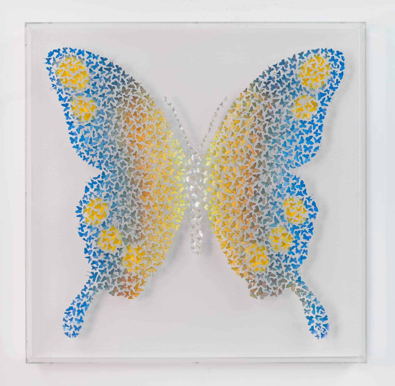 Charles Patrick, Hold On to Hope, Just for a While, 2024