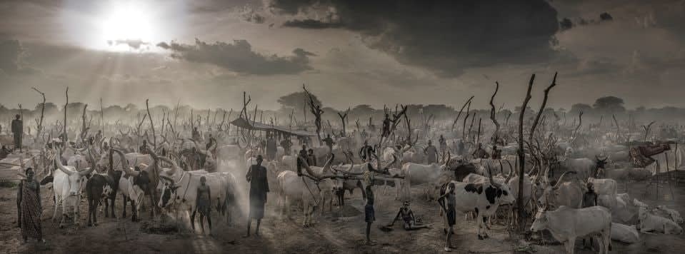 David Yarrow, The New Testament (Colour), 2022