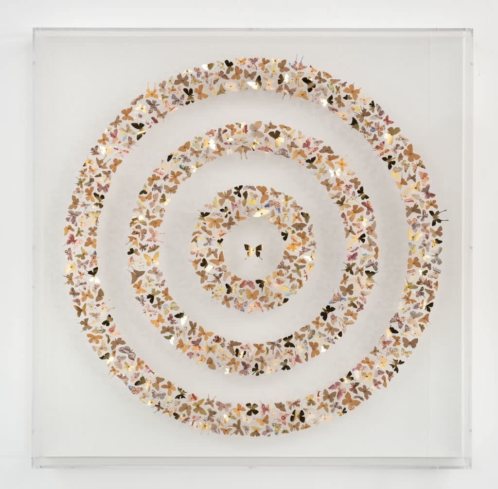 Charles Patrick Studio, Bands of Gold, 2023