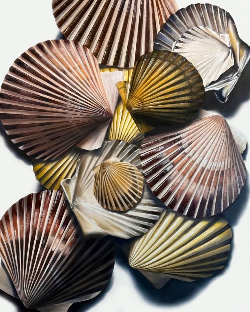 Renée Levin, Scallop Scatter No. 03, 2025