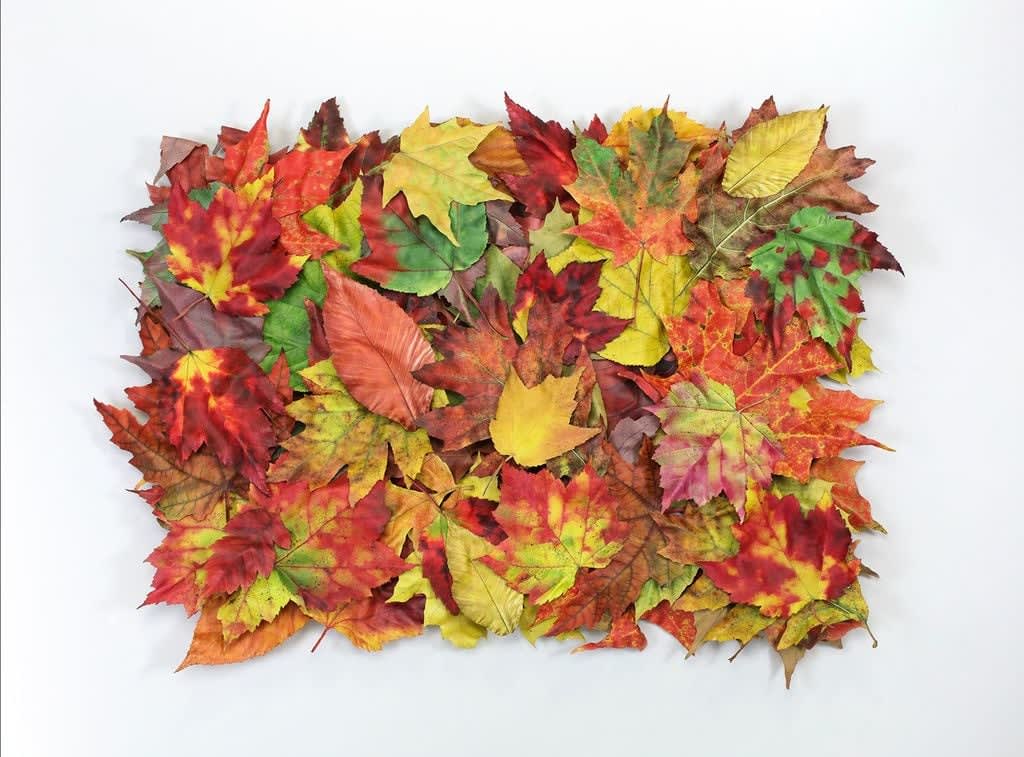 Paul Rousso, Fall, 2023