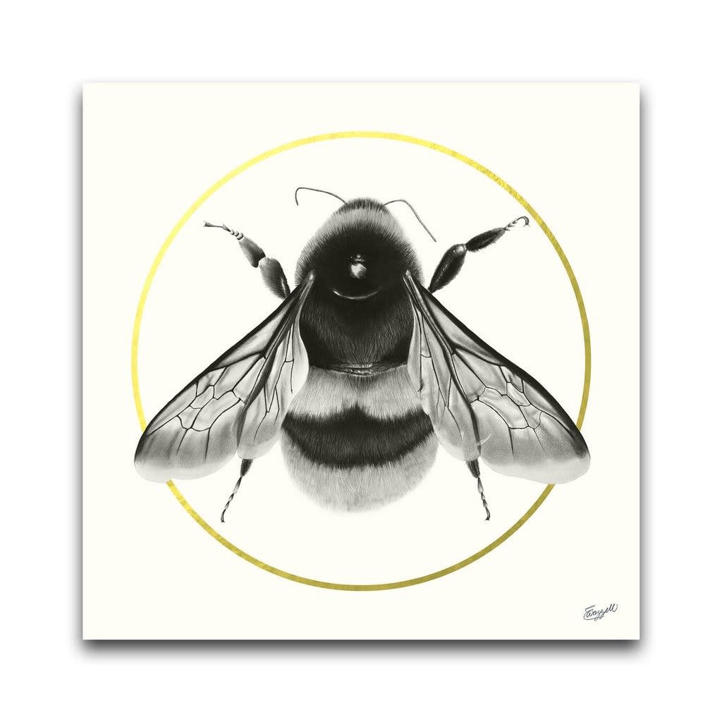 Elizabeth Waggett, This is the Place, 2020