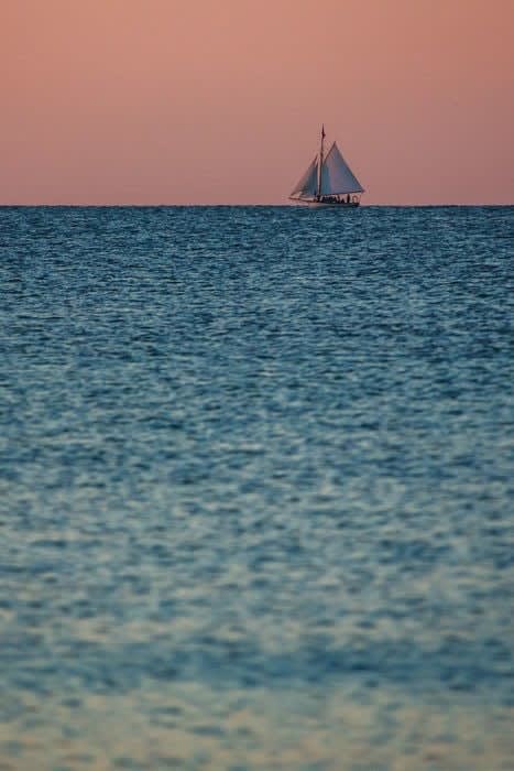 Jonathan Nimerfroh, Open Spaces (vertical) TBD/9, 2017