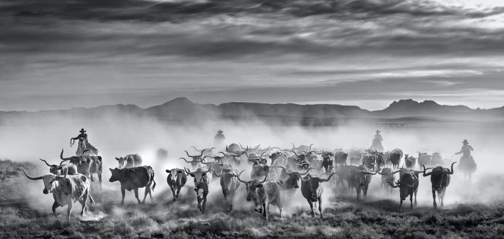 David Yarrow, The Thundering Herd, 2021