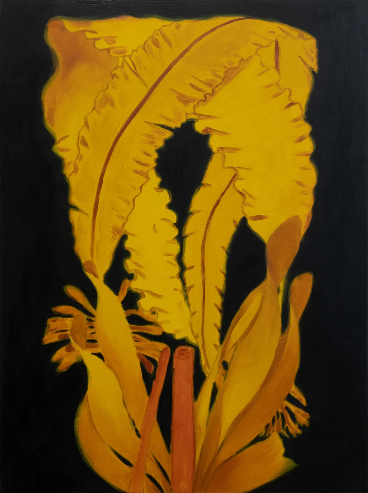 Erol Eskici, Lily, 2023