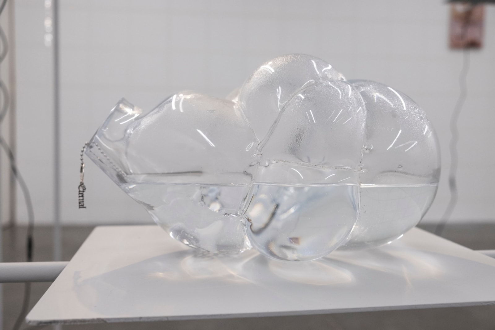 Christiane Pescheck, Transition 5, 2022