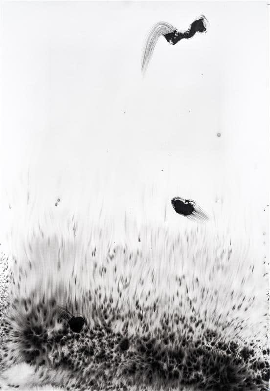 Cruz Jimenez, Song Bird, 2016