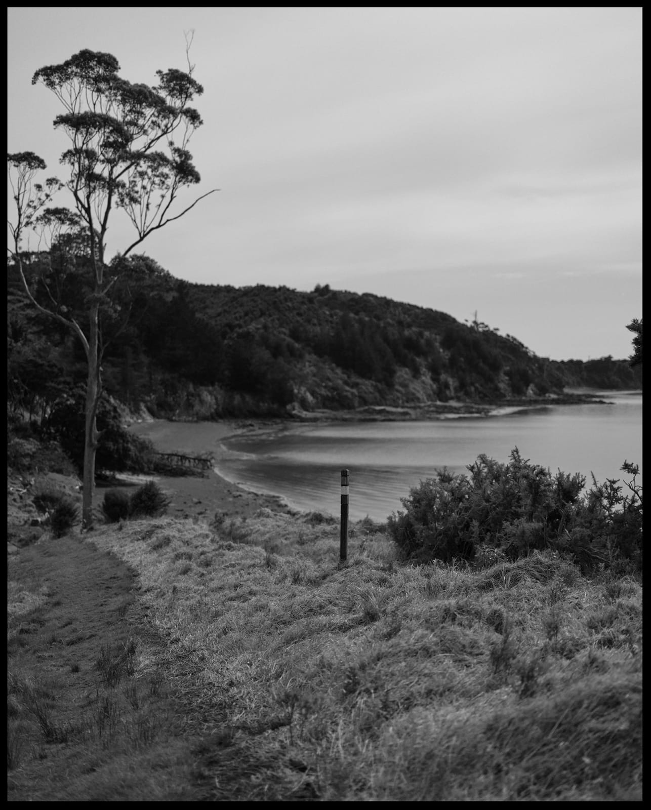 Kate Van Der Drift, Waitawa Bay Looking North West , 2025
