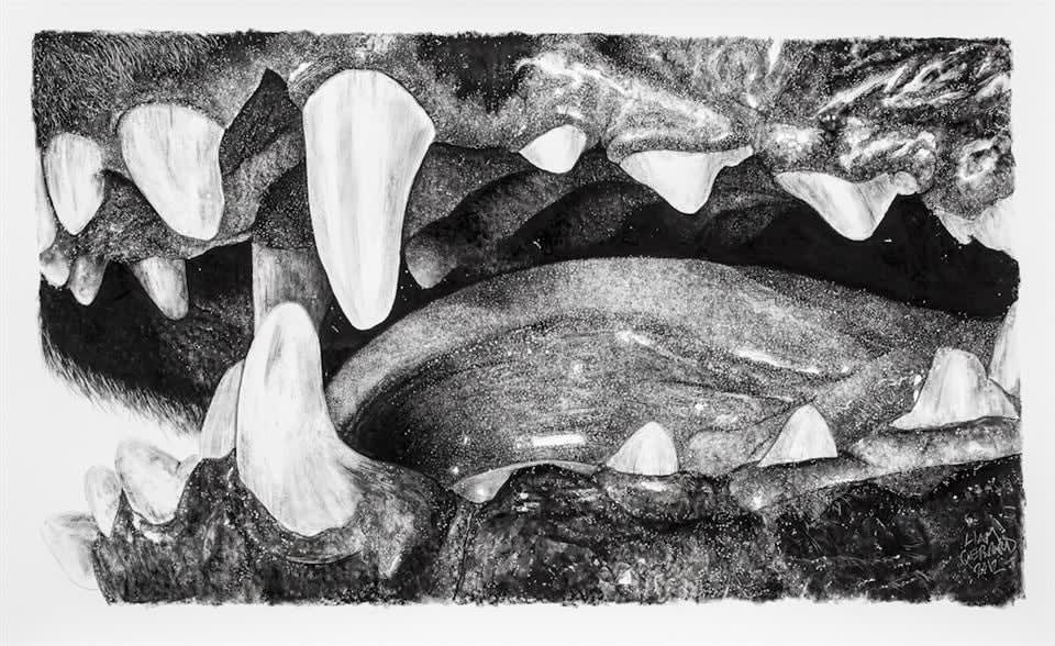 Liam Gerrard, Gums, Tongue & Teeth #2, 2012