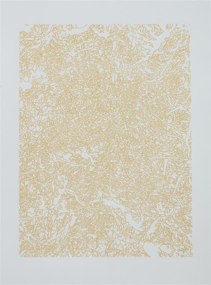 Paris Kirby, Sanctuary Tracing, 2017